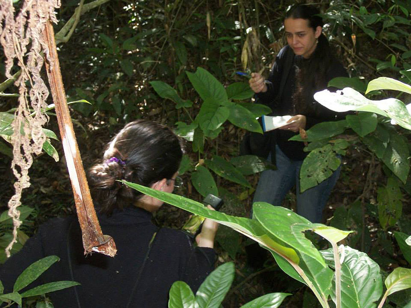 Portal de Not�cias PJF | Po�o d`Anta - Guarda Municipal Ambiental acompanha pesquisa cient�fica | SARH - 20/5/2014